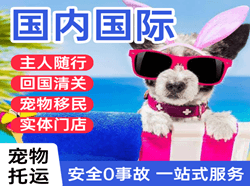 盐城空运地址国际宠物托运 【国